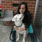 Foto van Melissa, Dempsey, Taiko, Minos & *Nina*