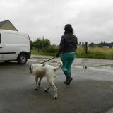 Foto van Melissa, Dempsey, Taiko, Minos & *Nina*