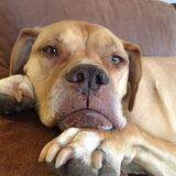 mooie Roxy