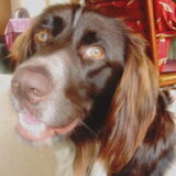 Foto van Betty Langenberg