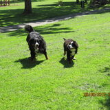 Foto van Corrie,Kay,Bowy+,Diesel