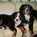 Kay en Diesel