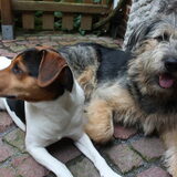 Foto van micha