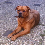 Zo nu ben ik al groot alweer 1 jaar :-)