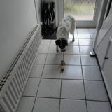 hmm wats dat??