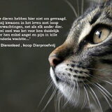 Foto van Nantastic!© Casa di Coontastic