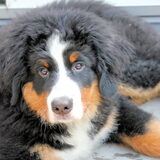 Max 5 maanden