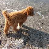 op het strand