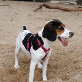 Wandeling HP leden Panbos 21-7-'12