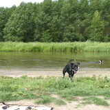 breezer lekker aan het ravotten