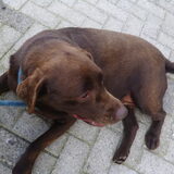 terrasje doen met fidel!
