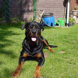 Foto van Thijs