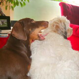 Camila gaat Sammy op eten!