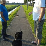 onze bal, maar Max heeft ook interesse. gelukkig kunnen ze goed delen…