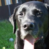 Lady 15-07-2012
