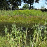 Foto van Rianne