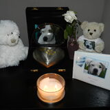 Foto van Melissa, Dempsey, Taiko, Minos & *Nina*