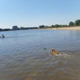 Foto van Barbara, Vos, Quin en Boo