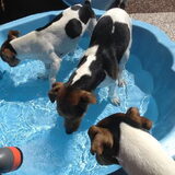 Mike Joey en Noa