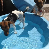 Joey en Noa
