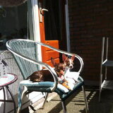 lekker zonnen daar zijn we zoooo gek op!