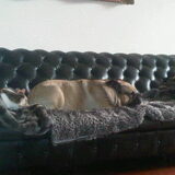 Bjoek van mn ouders!