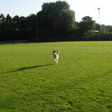 Foto van Dy-Ann