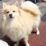 Cloudje
