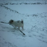 met uos en downs, nog even grote lol