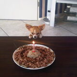 Happy Birthdayyyyy Zorra 1 jaar!