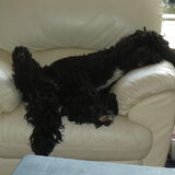 relaxen op de stoel