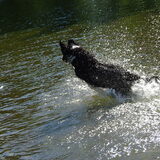 Waterpret!