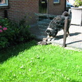 Foto van Claudia met Rakker