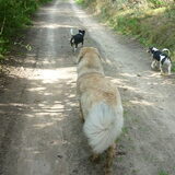 Foto van Julie & Yucca <3