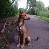Mila's 1e keer Zuiderpark.Statie portret,6 maanden jong.