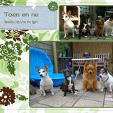 Toen en nu, Vos is veranderd! (En de tuin ook, ze zitten op dezelfde…