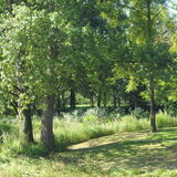 dit was het wandelgebied op deze camping, ik ben er niet geweest want…