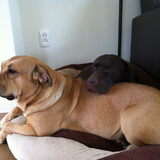 Dana en Romy
