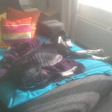 Storm lui op de bank