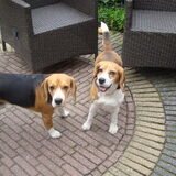 Tob links en Cindy rechts