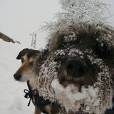 Flup en Max mee op ski-reis! Max werd na twee seconden een sneeuwbal!