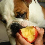 mmmm nectarine