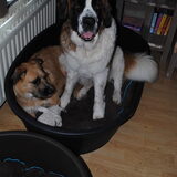 samen mandje delen