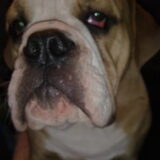 jack