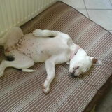 Foto van linsey