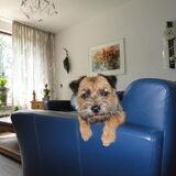 Foto van corrie koopman