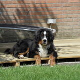 5,5 maanden oud
