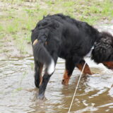 vies water is zoooo lekker