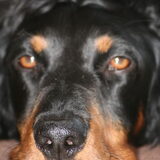 Foto van Ina, Misty en Aysa