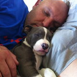 Foto van Buddha en Pip